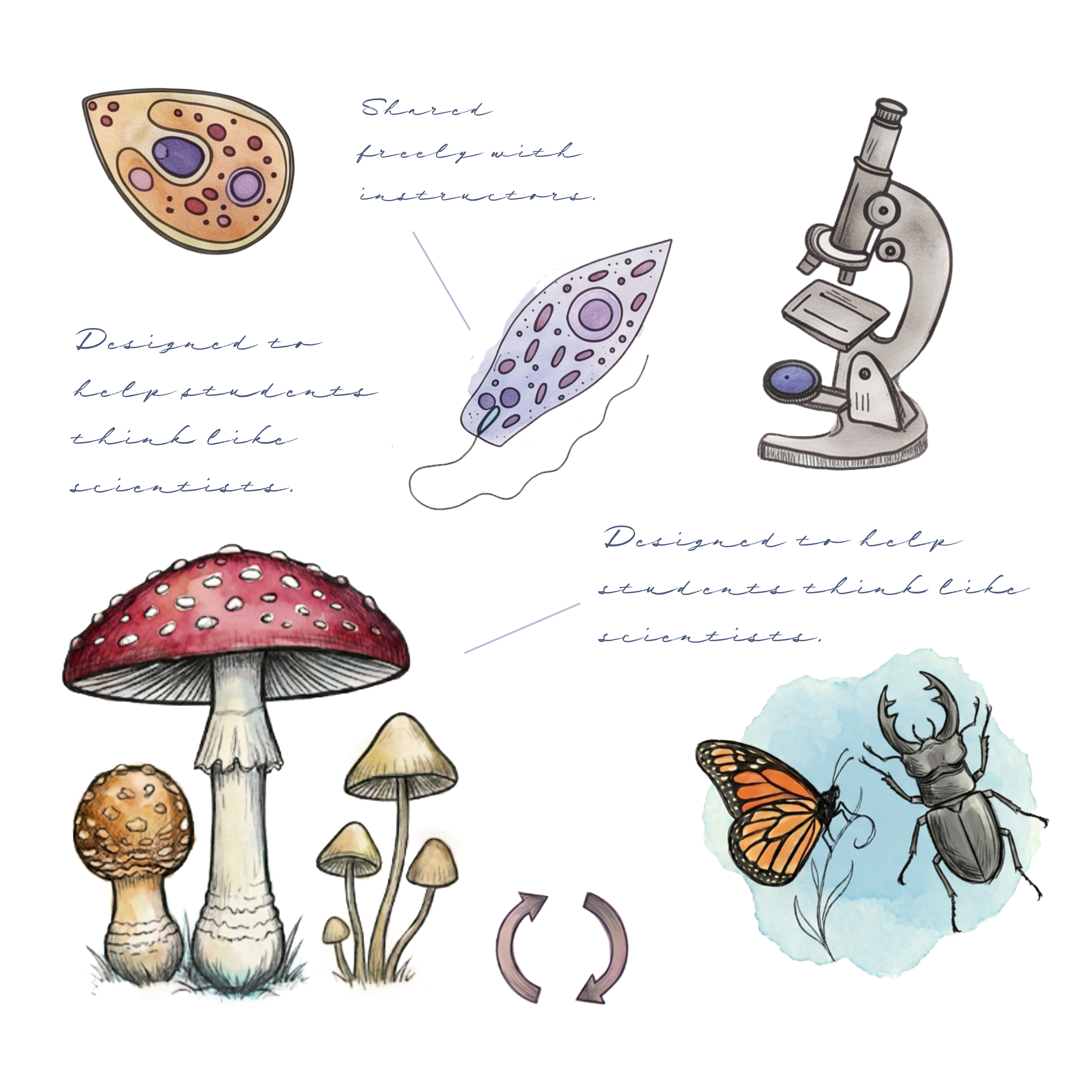 Biology Banner